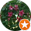 MSC (MSC) Avatar