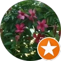 MSC (MSC) Avatar